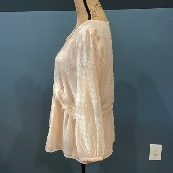 Loft Light Apricot Small Lined Blouse - Picture 6 of 9